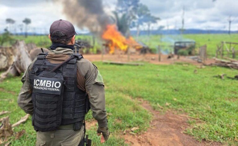 Ações contra o desmatamento no Pará resultam em R$ 10,8 milhões em multas