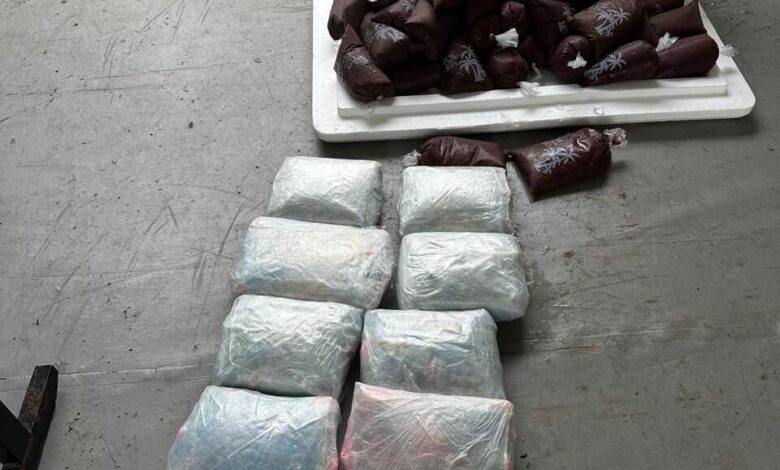 Drogas avaliadas em R$ 307 mil são encontradas em caixa com açaí no AM