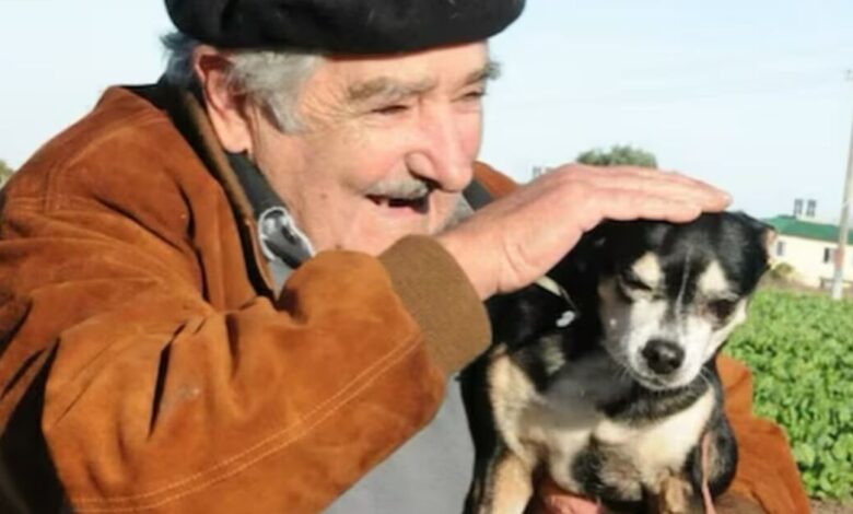 Saiba mais sobre a cadela de três patas que inspirou último desejo de Mujica