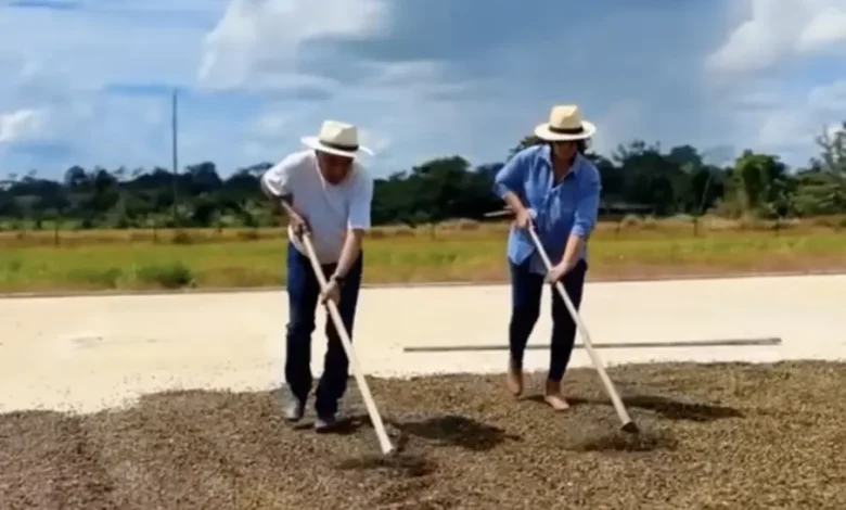 Bocalom e primeira-dama preparam café para secagem