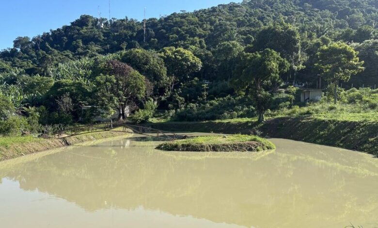 Construção irregular é embargada em área de proteção ambiental no Rio