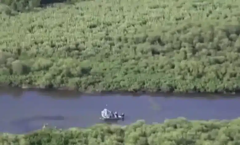 Tragédia: jacaré devora mulher após derrubá-la de canoa