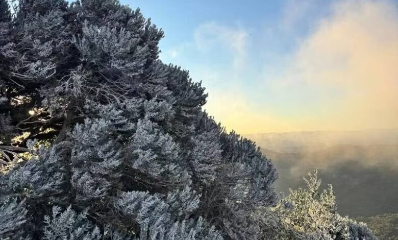 A imagem mostra uma vista de uma montanha com árvores cobertas de gelo ou geada. O céu está claro, com nuvens e uma luz suave que ilumina a cena. Ao fundo, é possível ver uma vasta paisagem montanhosa, com neblina ou nuvens baixas se espalhando pela área.