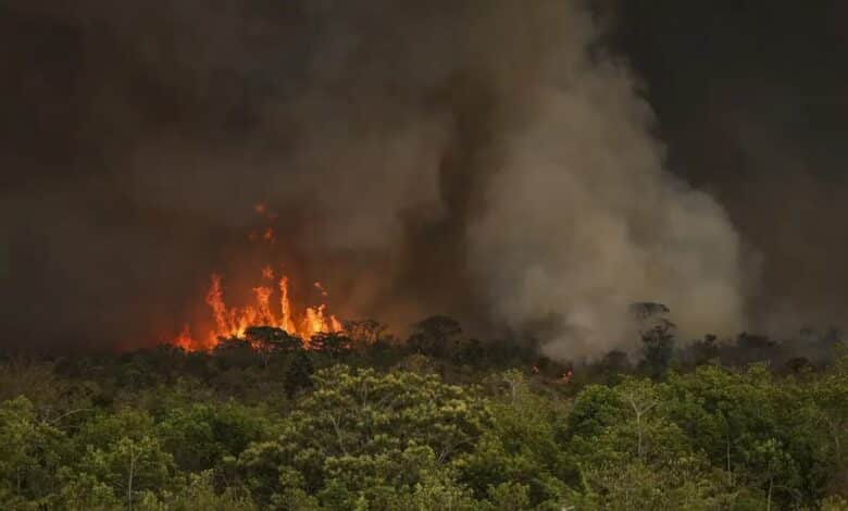 Câmara Federal aprova aumento de punição a quem provocar incêndios florestais - Nacional
