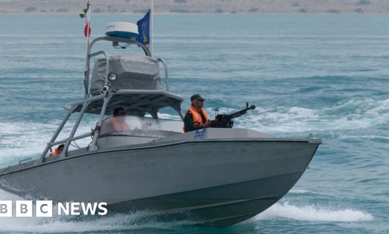 What is the Strait of Hormuz and why does it matter?