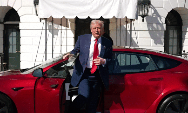 Apoio a Trump e tarifas elevadas derrubam ações da Tesla em 38%