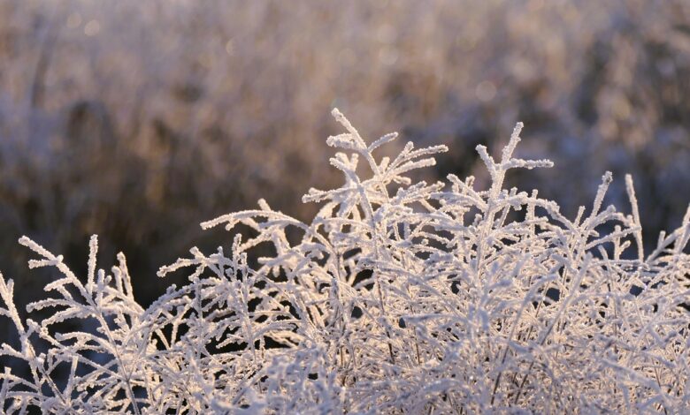 Em 2025, o frio será intenso, mas até quando é preciso ter atenção para as baixas temperaturas; descubra os detalhes agora.