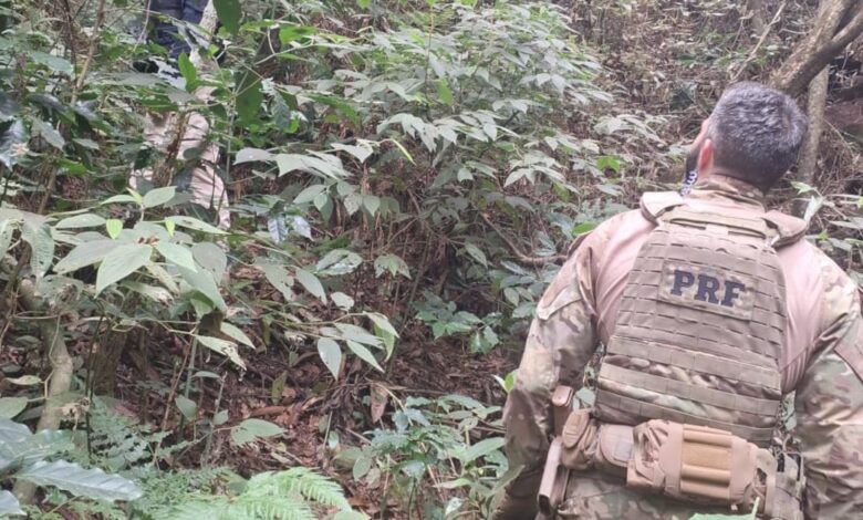 Membro do Comando Vermelho é preso pela PRF após nove dias de buscas em Minas Gerais – Noticias R7