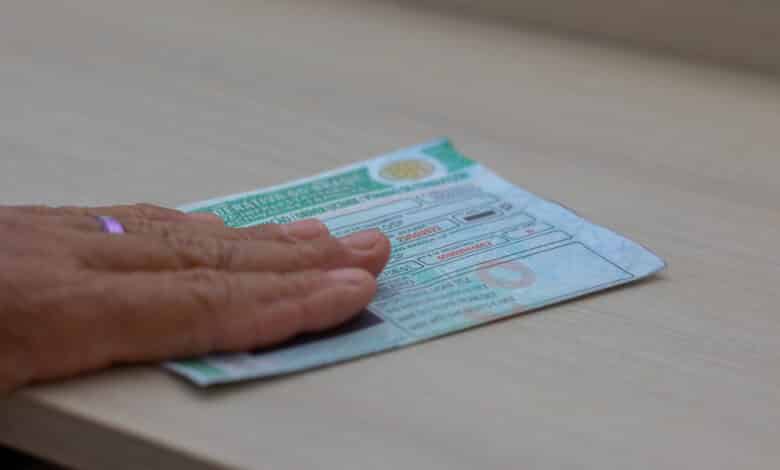 Costuma colocar animais dentro do seu carro e sair por aí? É melhor você ficar de olho na regra que pode suspender sua CNH.