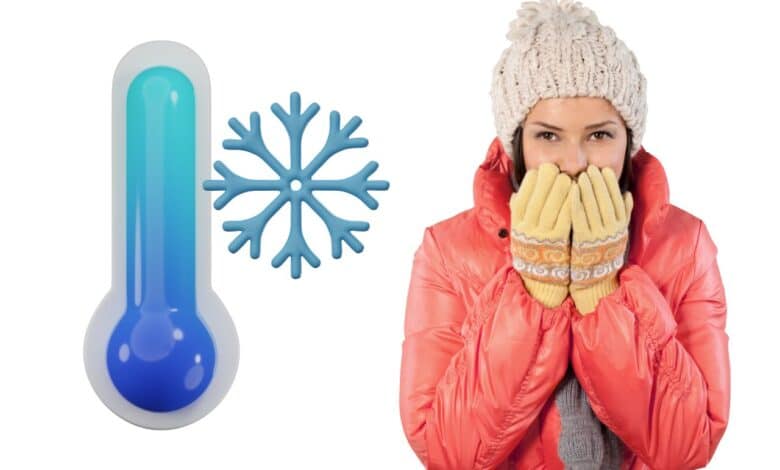 Não apenas 1, mas 2 novas ondas de frio devem atingir os brasileiros com força em breve; aprenda para se preparar.