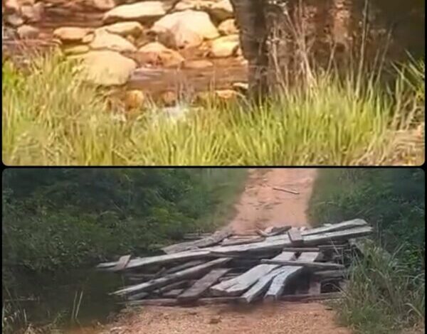 Com ponte destruída, comunidade do Mutum no Uiramutã fica isolada; veja vídeo