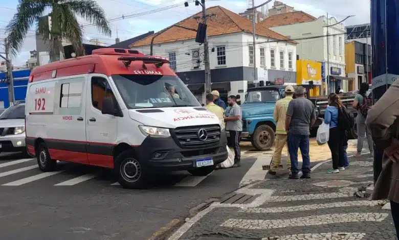 Gari atropelado em PG morre após quase um mês internado