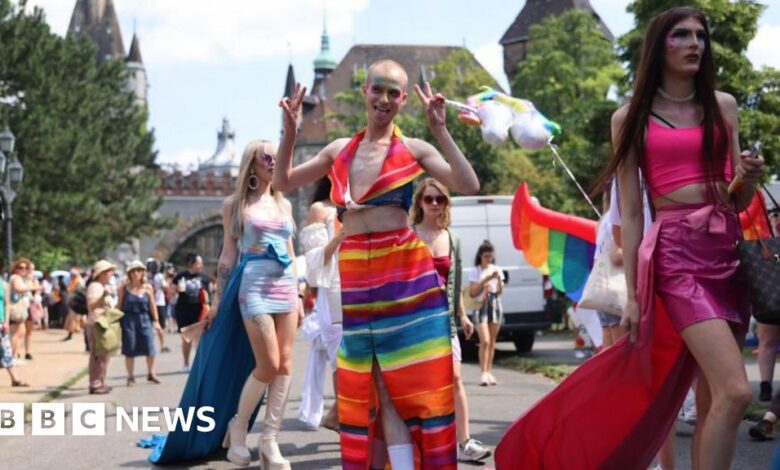 Police ban Budapest Pride march in Hungary, but mayor vows it will go ahead