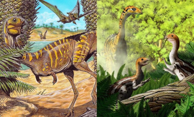 Dinossauros do Brasil e da Mongólia desenvolveram estratégias iguais para sobreviver no deserto