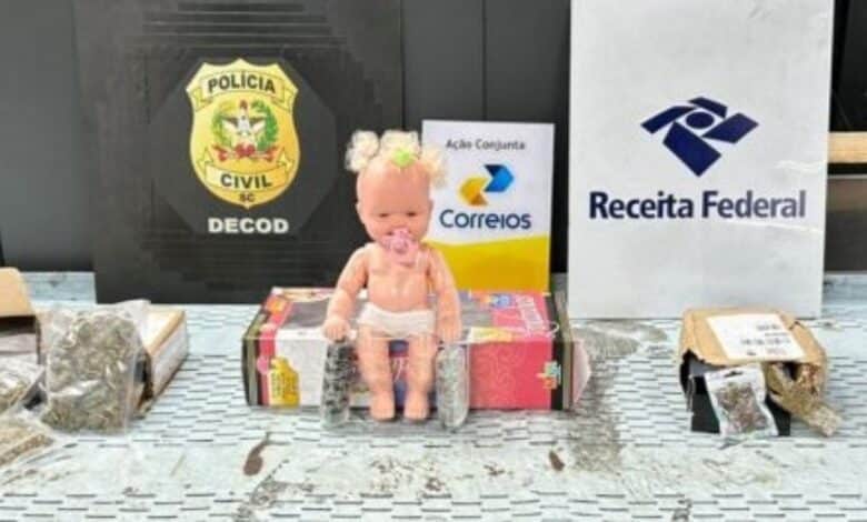 Boneca recheada com droga é apreendida nos Correios em SC