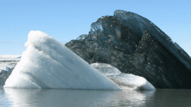 Por que um iceberg preto apareceu no meio do oceano e o que ele representa. É possível ter gelo dessa cor no meio do mar.