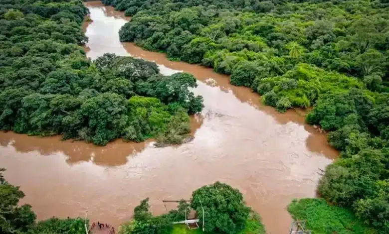 Mapa das bacias hidrográficas será lançado neste sábado (7) na Feira Ecológica da Redenção, em Porto Alegre – Brasil de Fato