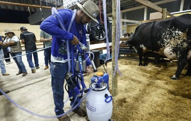 Rondônia Rural Show: Governo premia melhores produções de leite do estado - Agronegócio