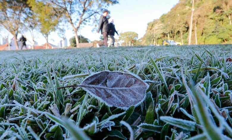 Curitiba pode ter geada após nova madrugada congelante