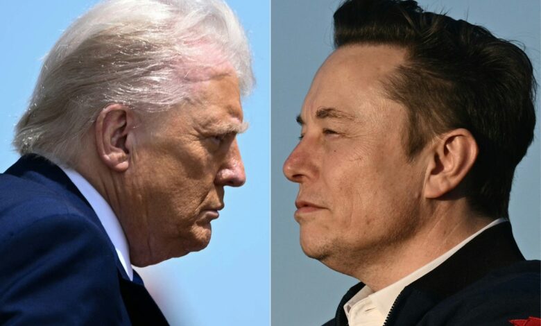 Após nova briga, Trump dá a entender que pode deportar Elon Musk: 'vamos dar uma olhada nisso' | Mundo