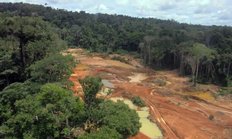 STF faz reunião em Porto Velho sobre consulta aos Cinta Larga sobre mineração na Terra Indígena Roosevelt - Nacional