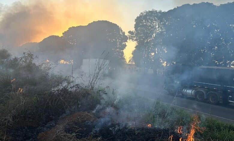 PF prende 5 pessoas por queimadas ilegais em Rondônia em apenas uma semana - Polícia