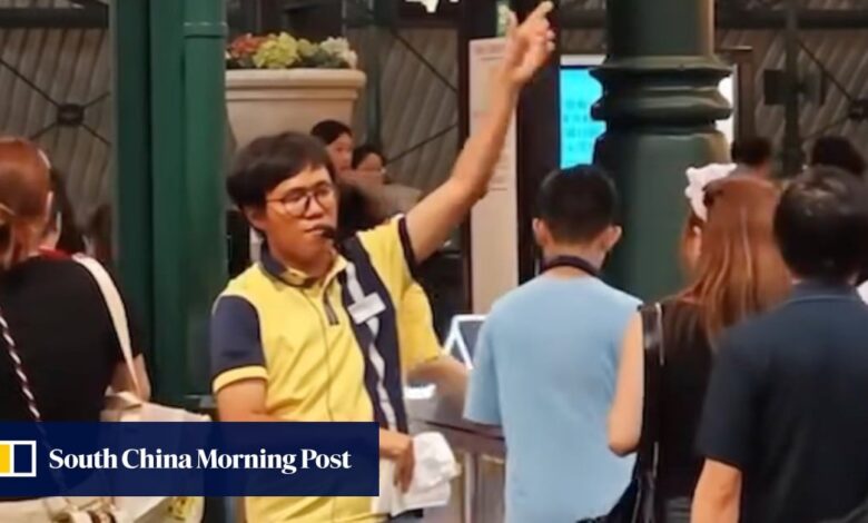 Hong Kong train driver’s ‘du du du du’ antics have passengers laughing as MTR clips go viral