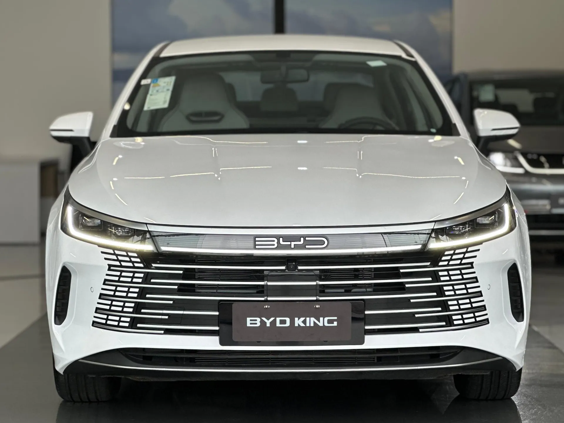 Custos do BYD King 2025: seguro e revisões em julho