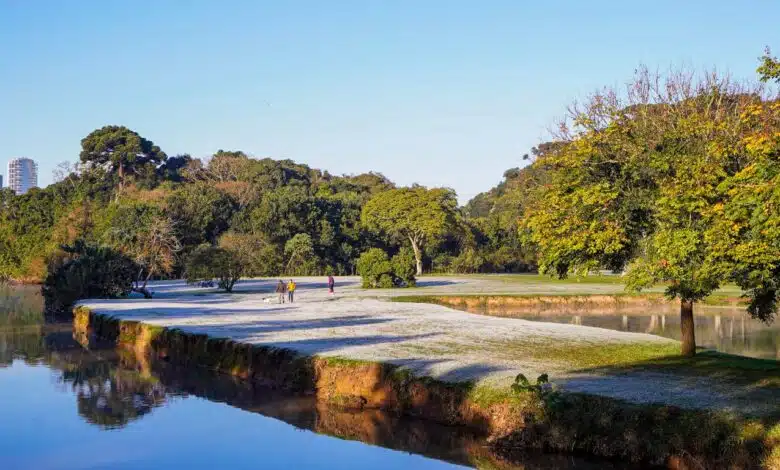 Geada em grama de parque do Paraná