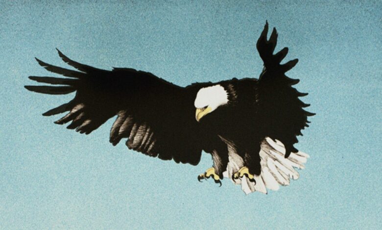 We the People: A Call for Unity on Independence Day