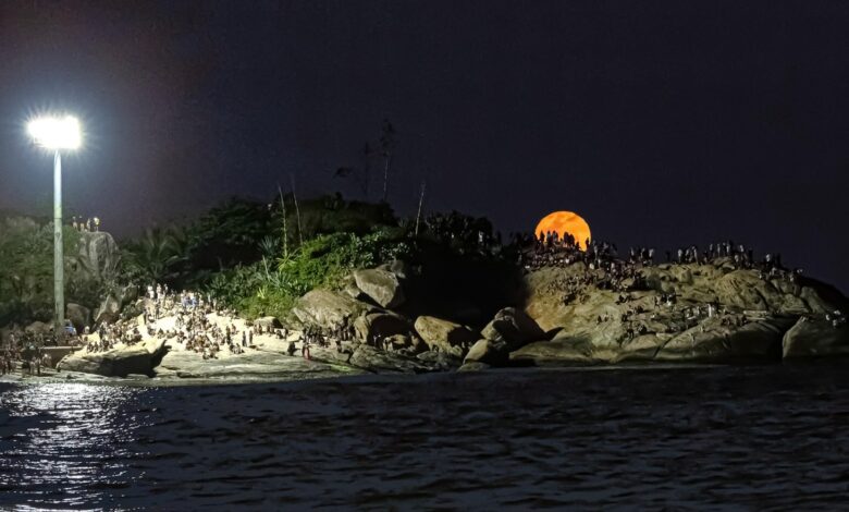 O que é a 'Lua do Veado'? Saiba como e quando observar o fenômeno pelo país