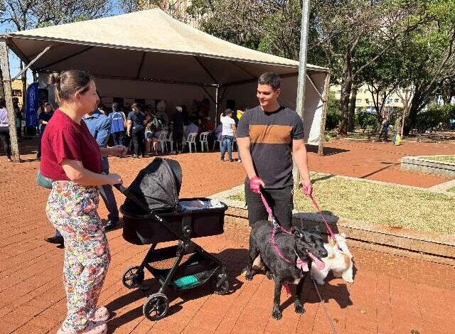 Campo Grande oferece vacinação gratuita para pets nesse sábado, 30 de agosto