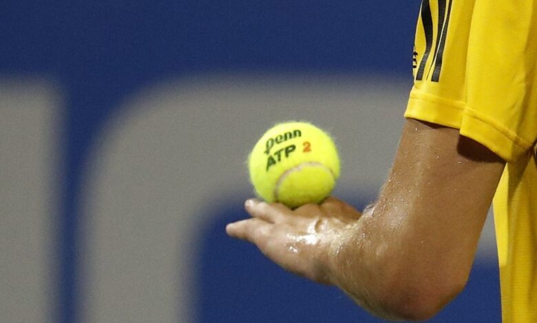 Sonego vs. Tristan Schoolkate Prediction, Odds to Win US Open