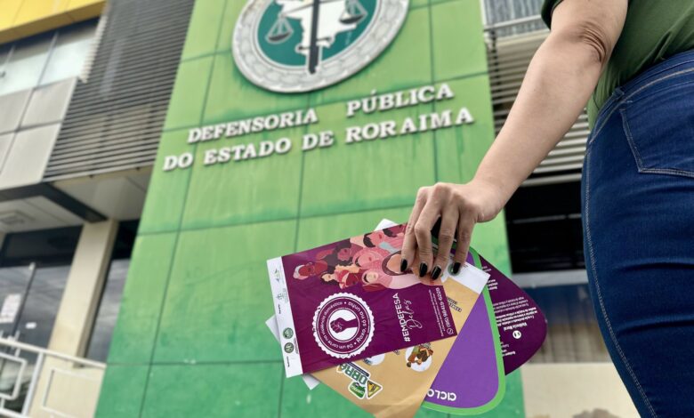 Além da denúncia: Defensoria Pública atua como instrumento de Justiça e acolhimento a mulheres vítimas de violência