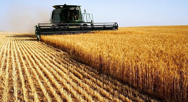 O projeto cultural do agronegócio