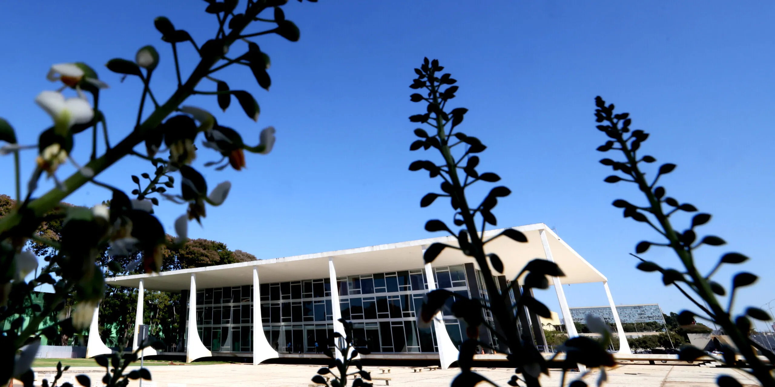 Supremo Tribunal Federal: decisões que impactam o país