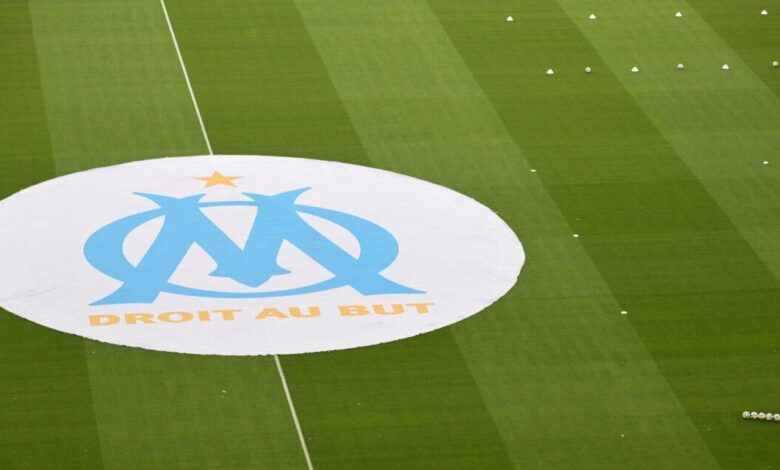 logo-onze