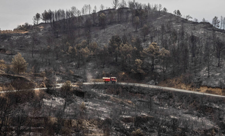 Incêndios devastam na Europa área do tamanho do Chipre - 06/09/2025 - Ambiente
