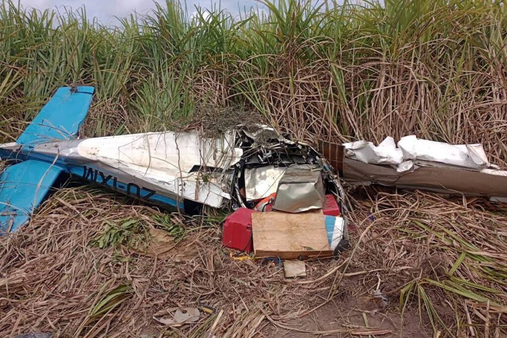 A imagem mostra os destroços de um avião pequeno caído em um campo de cana-de-açúcar. O avião está parcialmente danificado, com a fuselagem amassada e partes metálicas expostas. O fundo é composto por cana-de-açúcar alta, e o céu está nublado.
