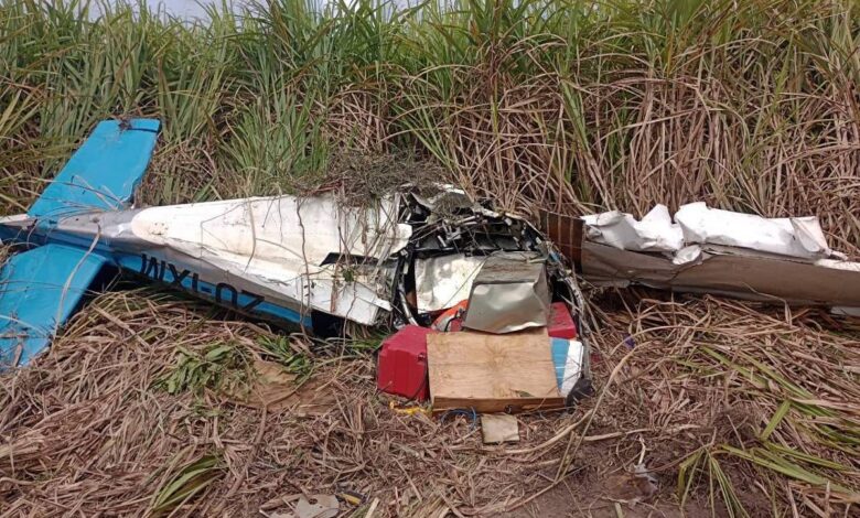 A imagem mostra os destroços de um avião pequeno caído em um campo de cana-de-açúcar. O avião está parcialmente danificado, com a fuselagem amassada e partes metálicas expostas. O fundo é composto por cana-de-açúcar alta, e o céu está nublado.