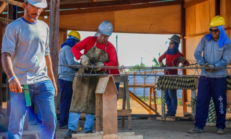 Mais de 600 novas vagas de emprego movimentam o mercado de trabalho em Rondônia - Concursos e Empregos