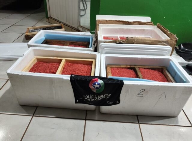 PM apreende contrabando de ovas de salmão em Campo Erê | WH3 - Sistema 103 - Rádio Raio de Luz - Rádio Lider