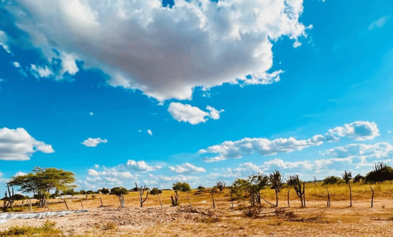 Clima do deserto do Saara vai atingir 8 estados brasileiros nos próximos dias