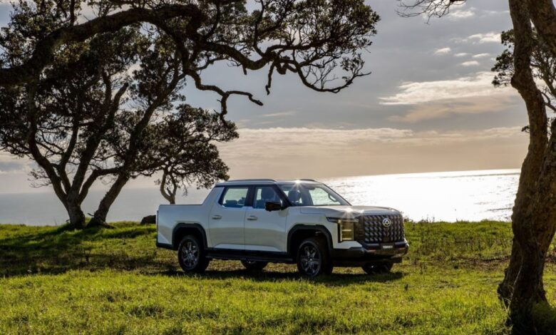 LDV Terron 9, futura base da VW Amarok, conquista 5 estrelas no ANCAP