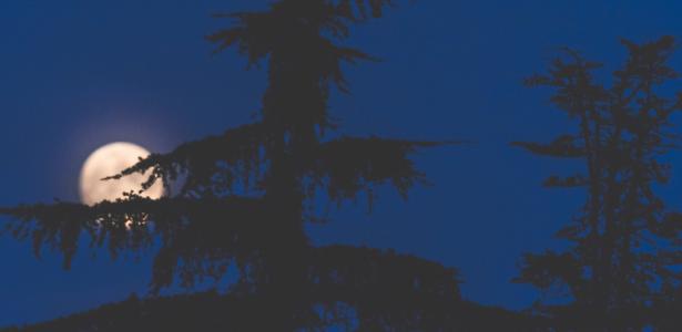 Calendário lunar