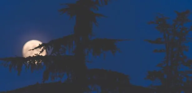 Fase da Lua hoje (27): calendário lunar de setembro de 2025