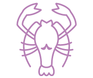 Signo Câncer