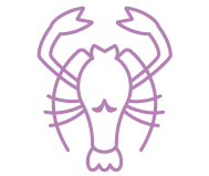 Signo Câncer