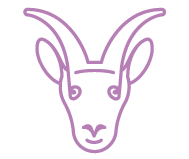 Signo Capricórnio