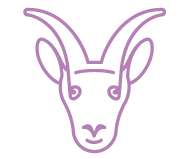 Signo Capricórnio